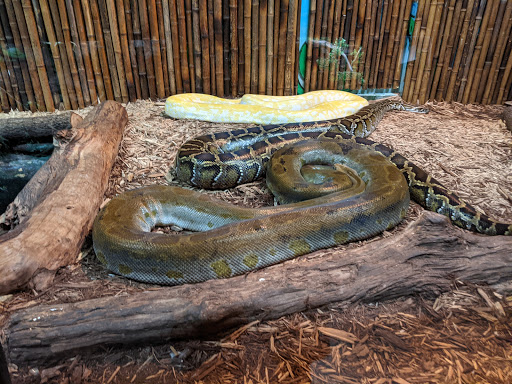 Zoo «Alligator Adventure», reviews and photos, 4604 Hwy 17 S, North Myrtle Beach, SC 29582, USA