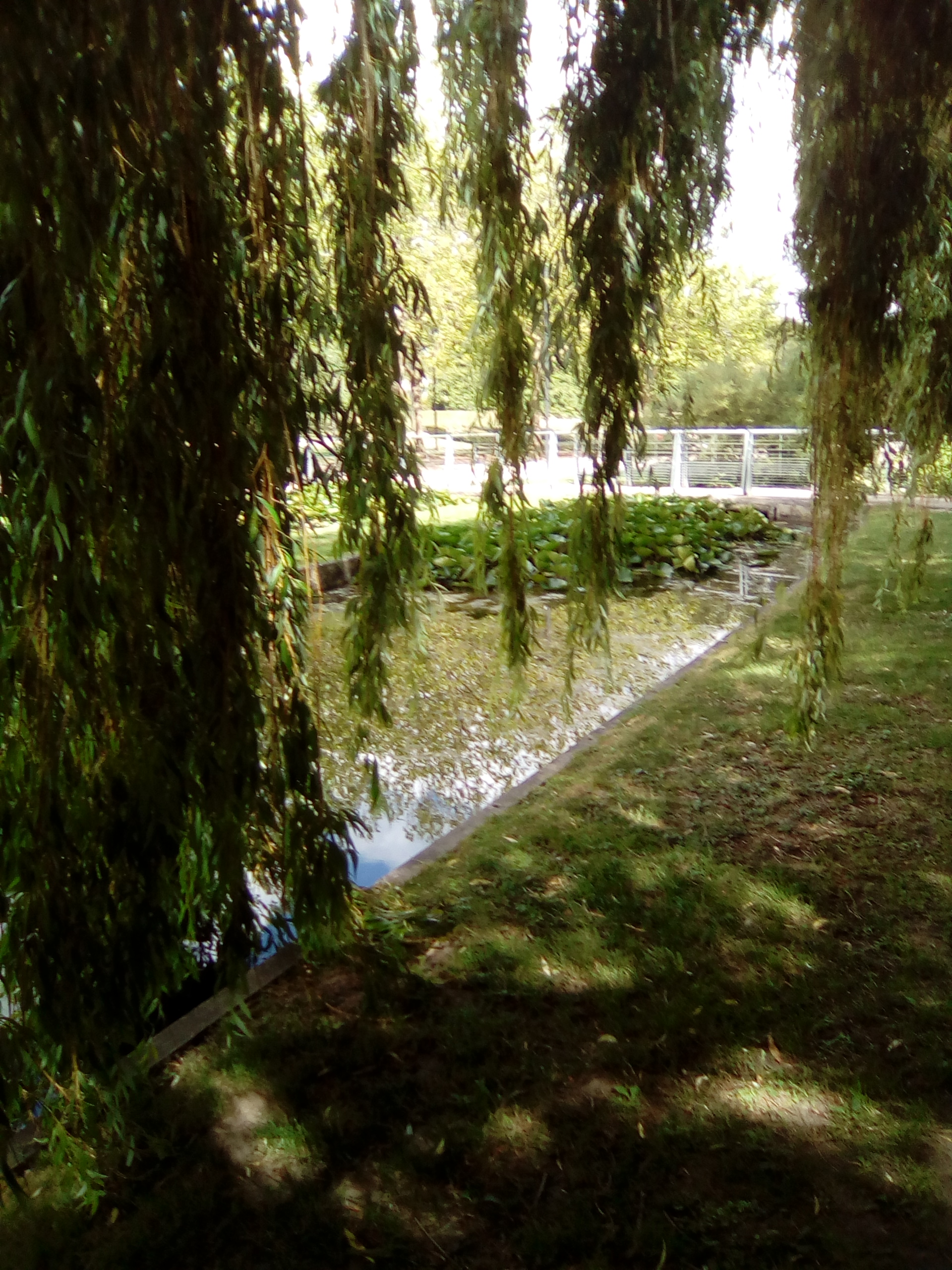 Photo n° 4 de l'avis de Corinne.o fait le 15/10/2020 à 14:35