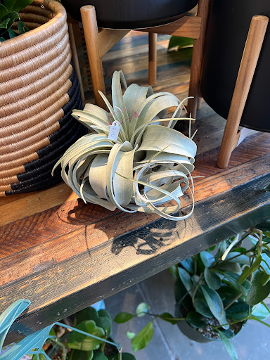 Garden «Sierra Water Gardens», reviews and photos, 2110 Dickerson Rd, Reno, NV 89503, USA