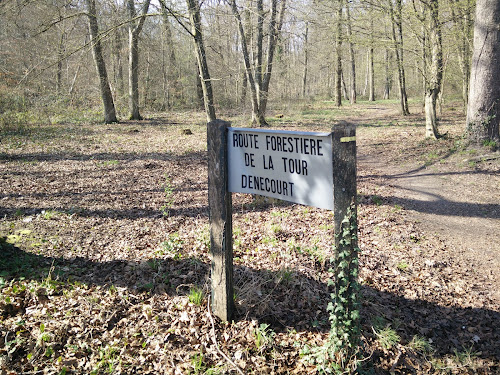 Foret Fontainebleau Parking à Fontainebleau