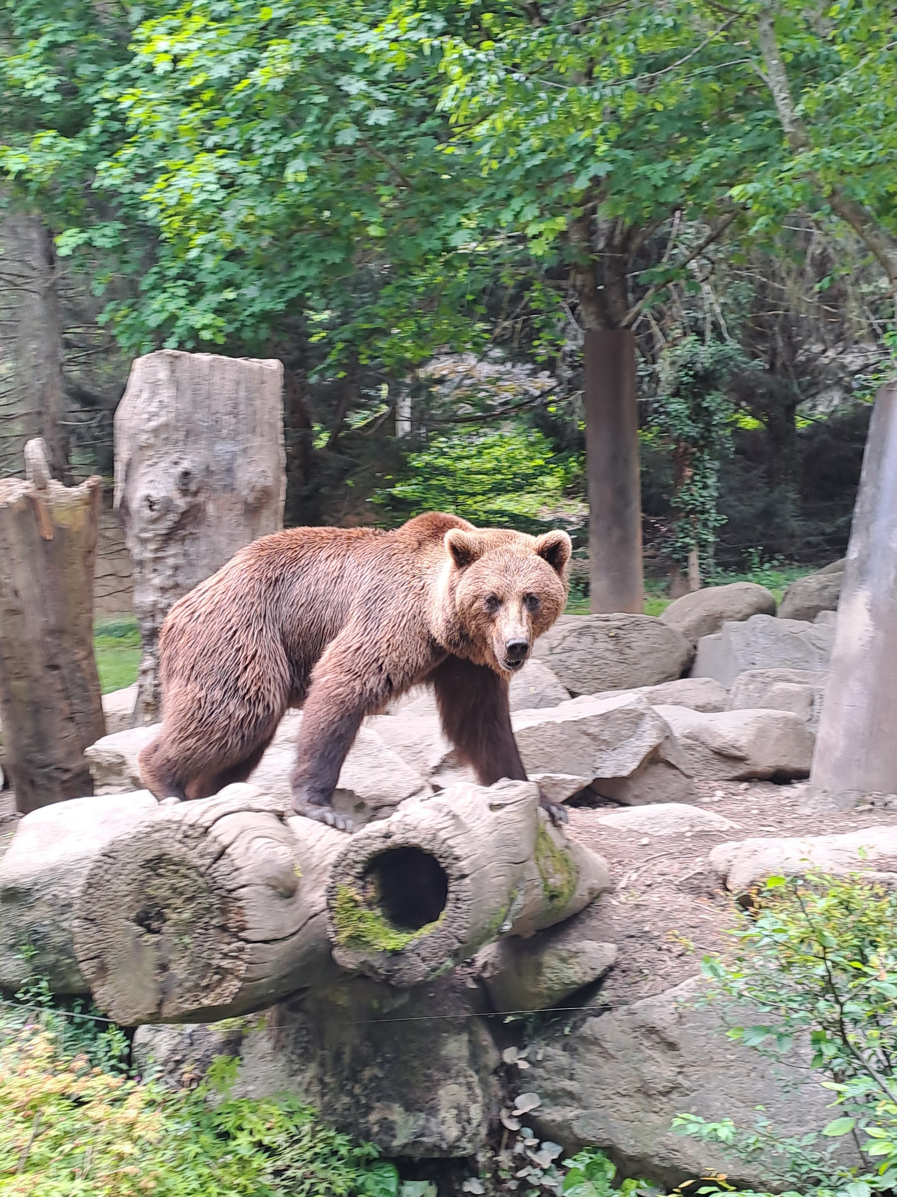 Photo n° 2 de l'avis de BEDZ. fait le 12/05/2023 à 13:48