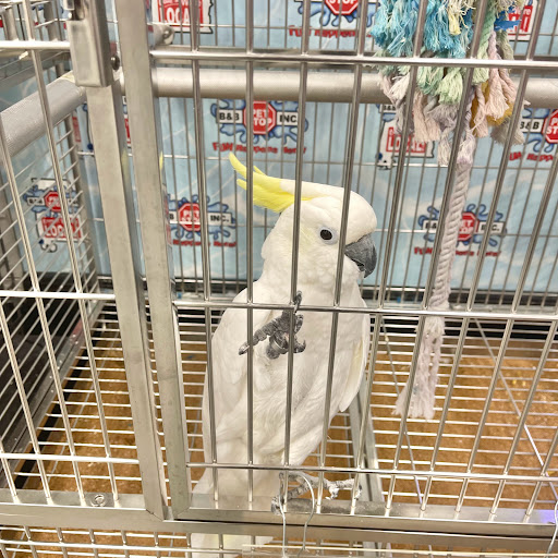 Pet Store «B & B Pet Stop, Inc.», reviews and photos, 5035 Cottage Hill Rd, Mobile, AL 36609, USA