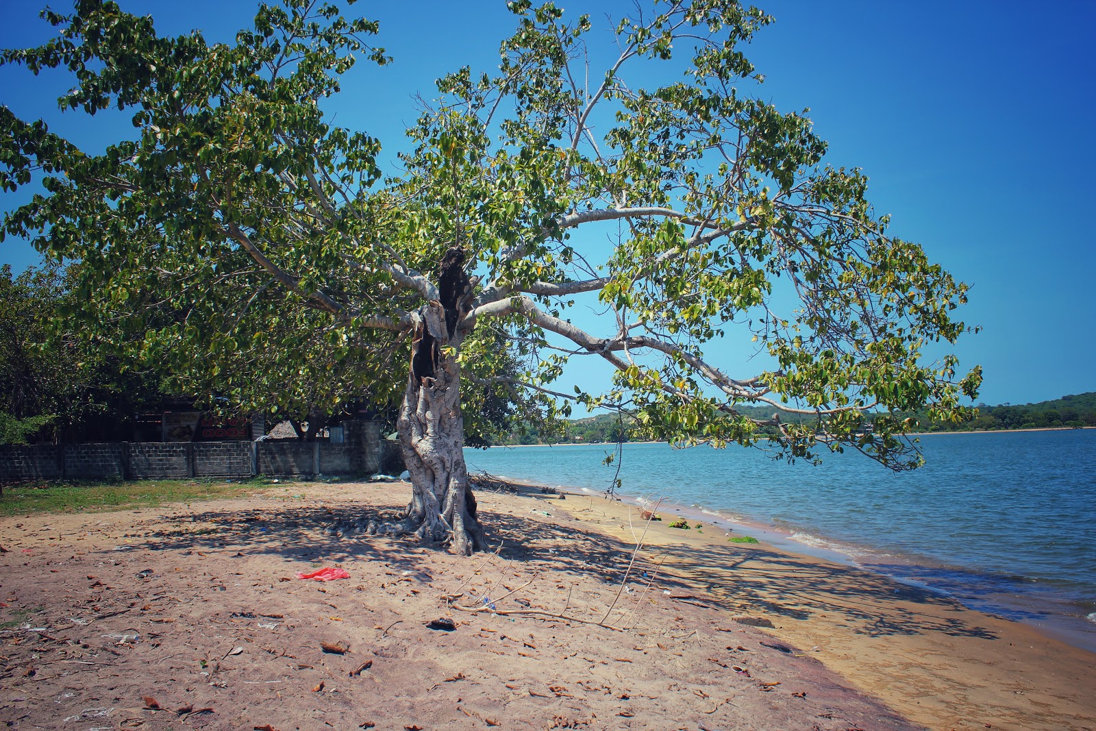 Kinniya Beach photo #7