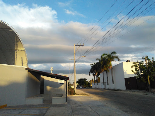 Centro de Estudios de las Americas CELA