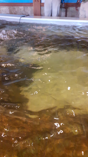 Park «Kawameeh Park», reviews and photos, 1750 Morris Ave, Union, NJ 07083, USA