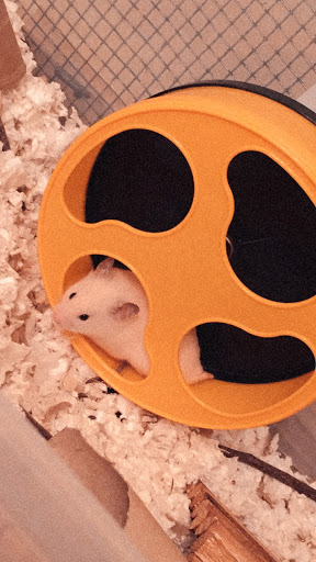 Pet Supply Store «Exotic Nutrition», reviews and photos, 737 Industrial Park Dr, Newport News, VA 23608, USA