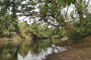 Monkey Bay Wildlife Sanctuary image