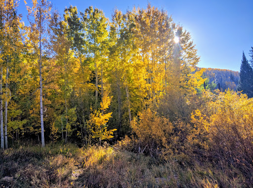 Resort «Manor Vail Lodge», reviews and photos, 595 Vail Valley Dr, Vail, CO 81657, USA