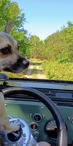 Golf Club «Swiss Golf & Tennis Club», reviews and photos, 494 Century Dr, Winter Haven, FL 33881, USA