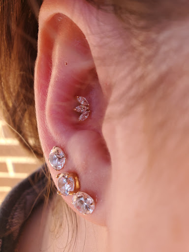 Explore netherlands tattoo ideas, creative tattoo ideas in Saint Cloud, available at Wingnut Tattoo & Piercing Studio