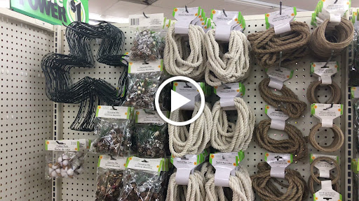 Dollar Store «Dollar Tree», reviews and photos, 8111 Steilacoom Blvd SW, Lakewood, WA 98498, USA