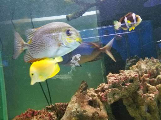 Golf Course «Elmwood Golf Course», reviews and photos, 3900 Thatcher Ave, Pueblo, CO 81005, USA