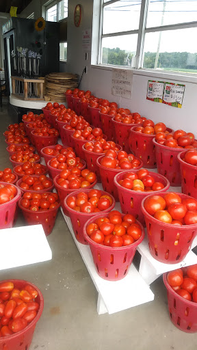 Produce Market «Stella Farms», reviews and photos, 459 Berlin New Freedom Rd, Berlin, NJ 08009, USA