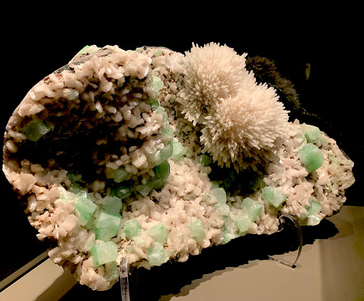 Art Museum «Bruce Museum», reviews and photos, 1 Museum Dr, Greenwich, CT 06830, USA