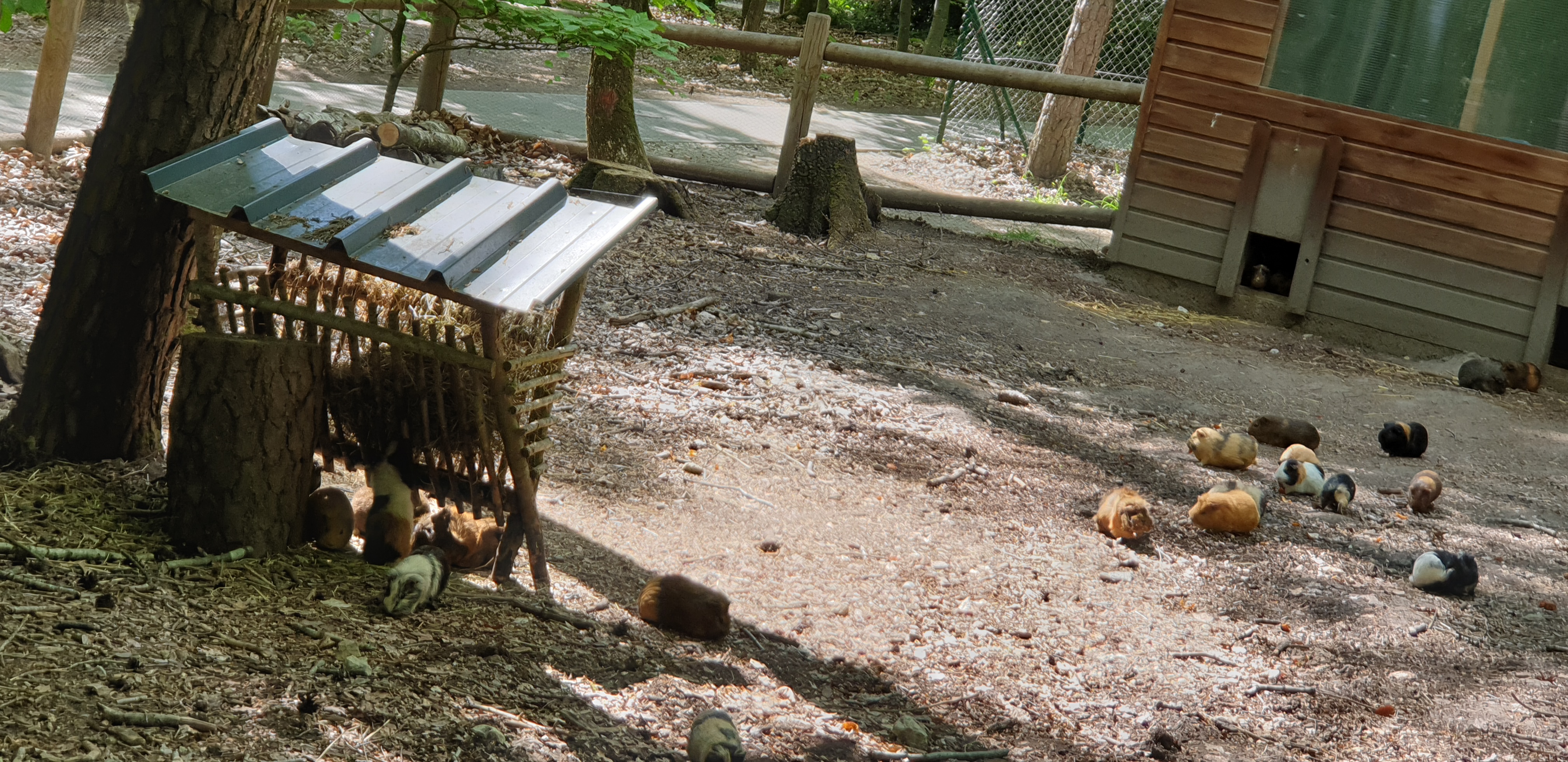 Photo n° 10 de l'avis de Dominique.A fait le 05/05/2022 à 18:02
