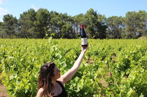 Magasin de vins et spiritueux Caveau de Saint Hilaire d'Ozilhan-Vignerons Propriétés Associés Castillon-du-Gard