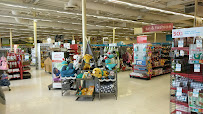 Petco - Photo 5 - Car repair in Scottsdale, AZ, Phoenix