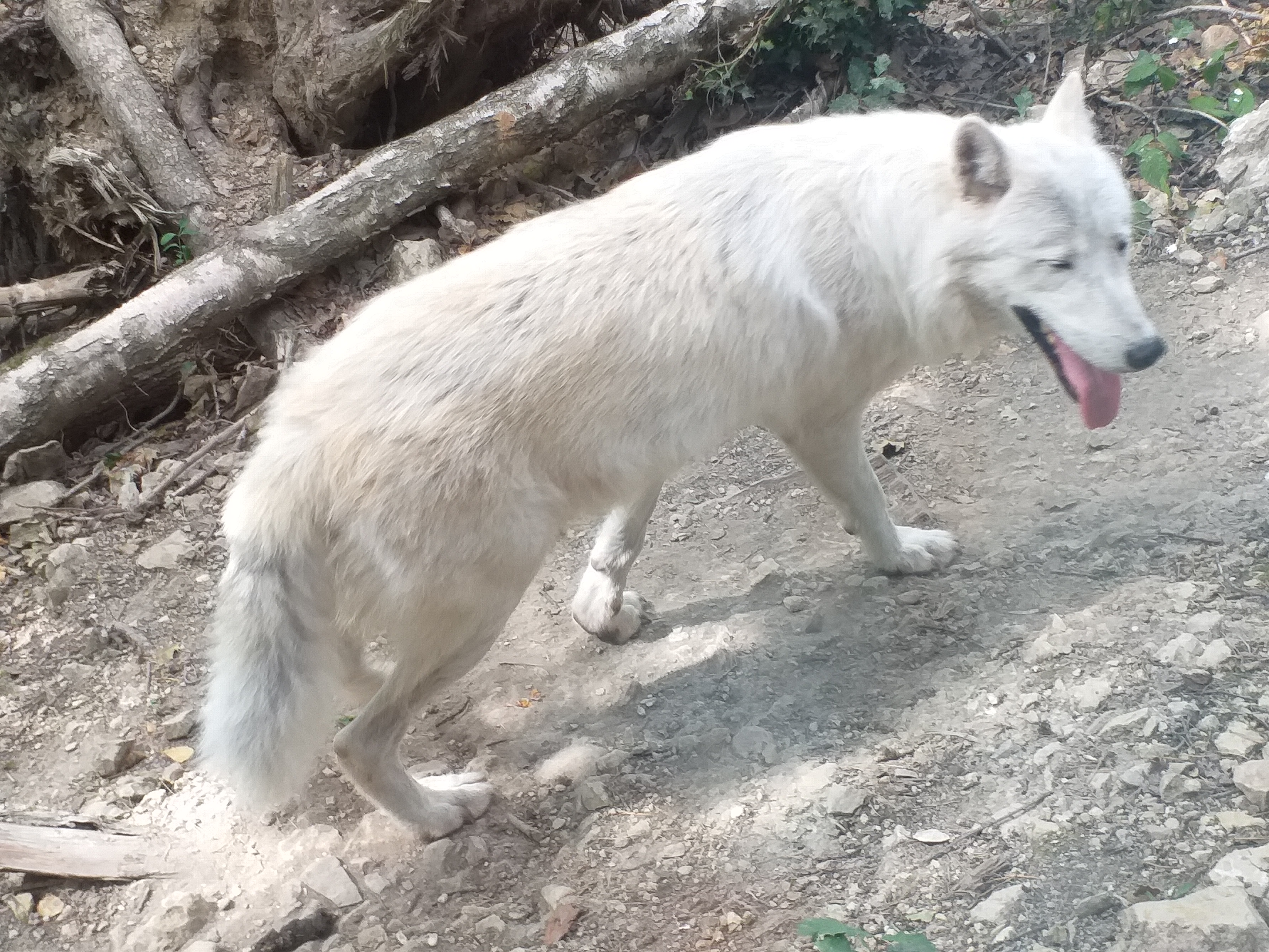 Photo n° 4 de l'avis de Jeannine.e fait le 12/08/2020 à 17:04