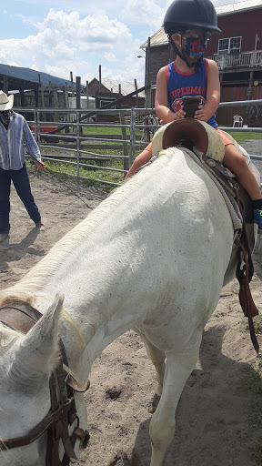 Horseback Riding Service «Secret Passage Ranch», reviews and photos, 321 Spring Mountain Way, Fort Valley, VA 22652, USA