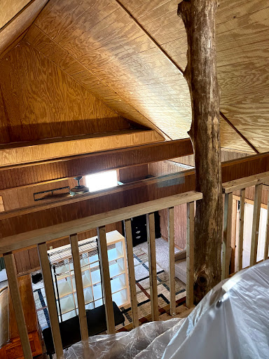 Painter «Sun Painting Texas LLC», reviews and photos, 205 N Davis Dr, Arlington, TX 76012, USA