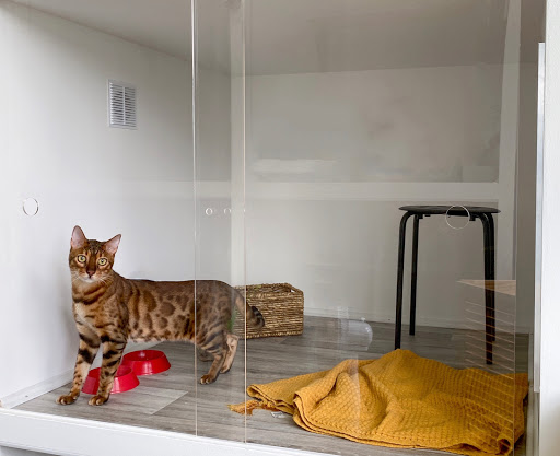 Scandi Cat | Отель для кошек