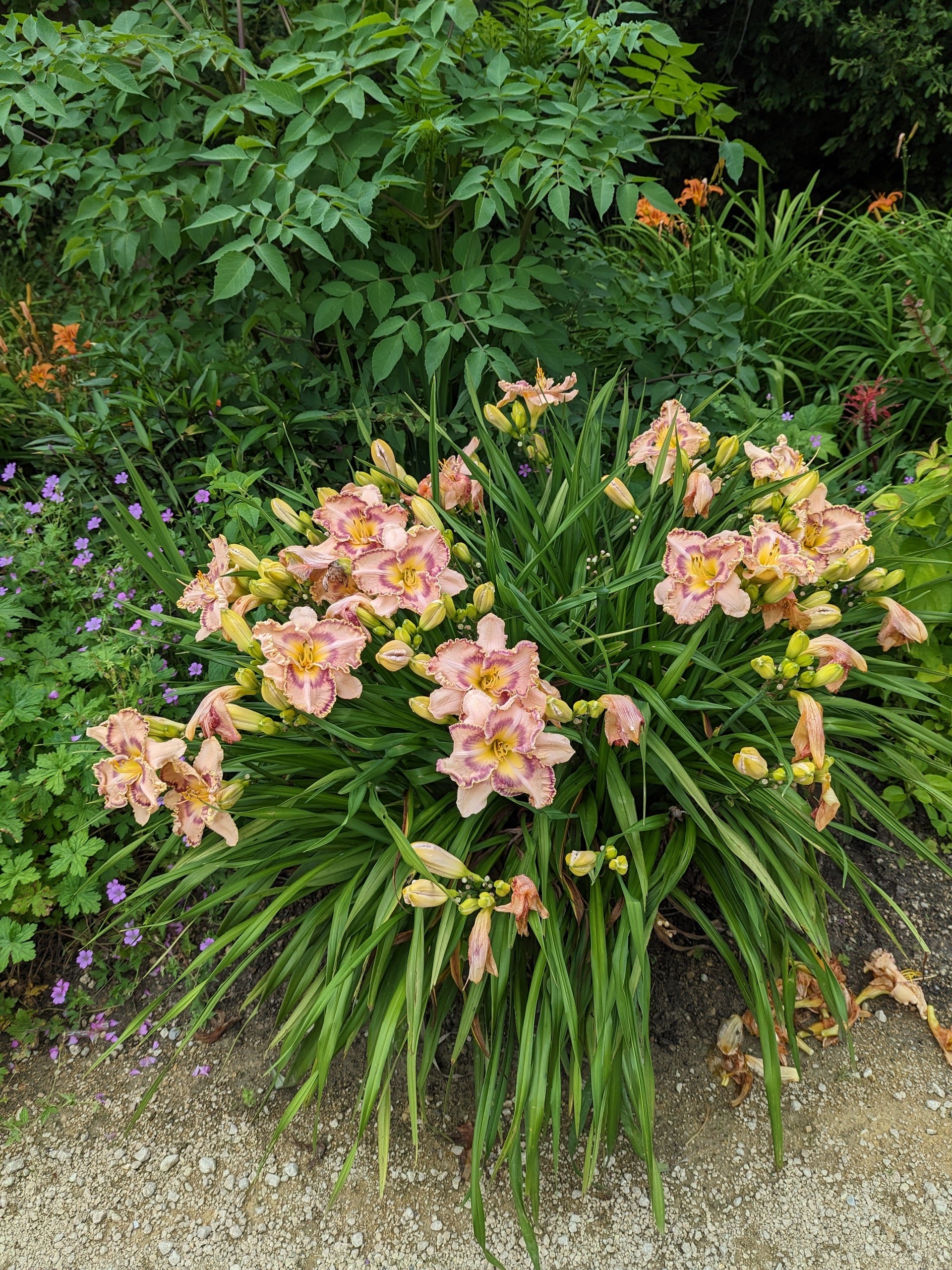 Photo n° 2 de l'avis de Liliane.a fait le 16/06/2023 à 10:52