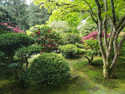 Gift Shop «Portland Japanese Garden Gift Shop», reviews and photos, 611 SW Kingston Ave, Portland, OR 97205, USA