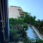 Photo n°1 de l'avis de Torben.� fait le 27/07/2018 à 12:23 sur le  Cafe Baier à Berlin