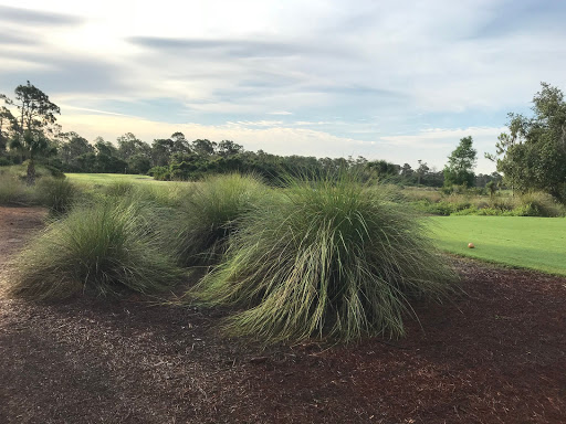 Golf Club «Raptor Bay Golf Club», reviews and photos, 23001 Coconut Point Resort Dr, Estero, FL 33928, USA