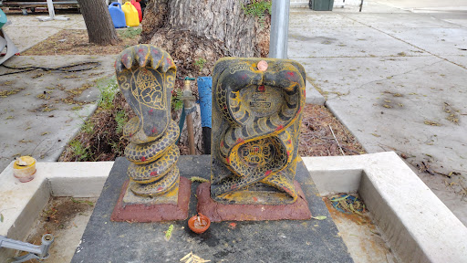 Shiva-Vishnu Temple image