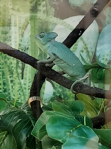 Pet Supply Store «Petco Animal Supplies», reviews and photos, 86 Storrs Rd, Mansfield Center, CT 06250, USA