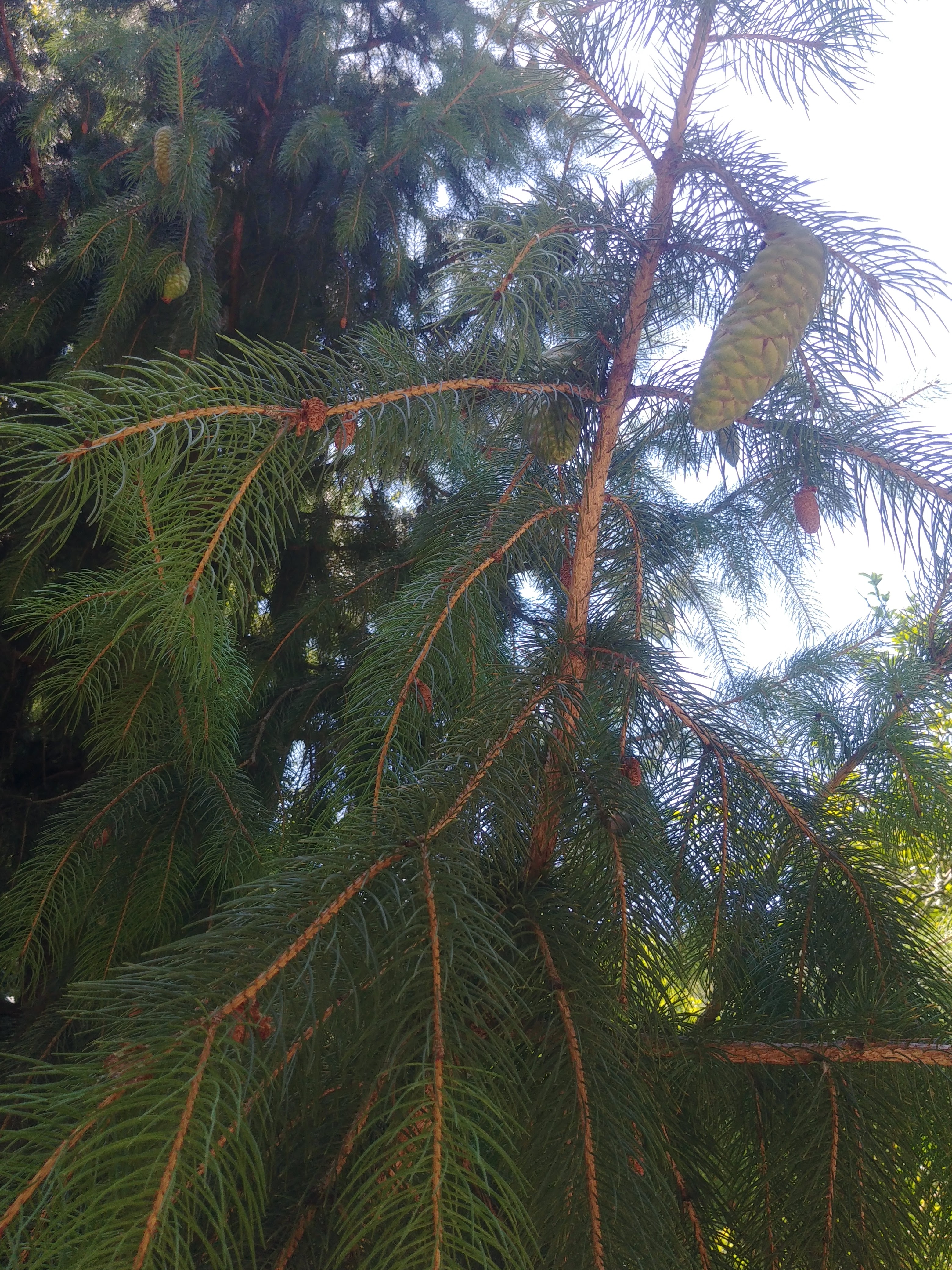 Photo n° 3 de l'avis de Sybella.e fait le 26/07/2021 à 18:15