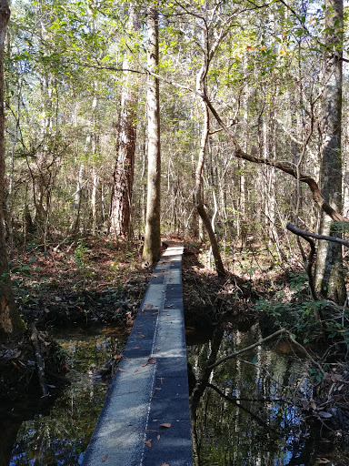 Florida Trail Alaqua Trailhead
