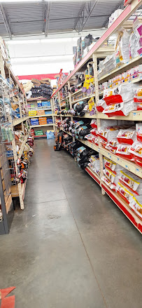Tractor Supply Co. - Photo 9 - Car repair in Richland, MS, Jackson