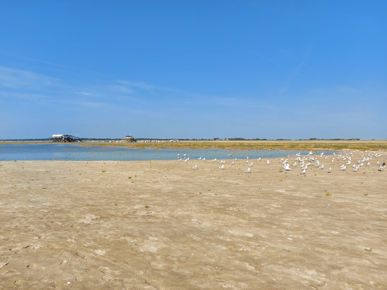 Photo of Badestelle Bohl located in natural area