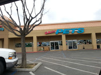 Whitie's Pets - Photo 2 - Car repair in Fresno, CA, Fresno