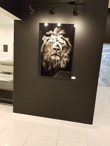 Furniture Store «Modani Modern Furniture Store Dallas», reviews and photos, 4700 Alpha Rd, Dallas, TX 75244, USA