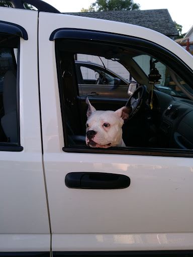 Fairground «Southern Iowa Fair», reviews and photos, 615 N I St, Oskaloosa, IA 52577, USA