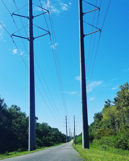 Park «Big Tree Park», reviews and photos, 761 General Hutchison Pkwy, Longwood, FL 32750, USA