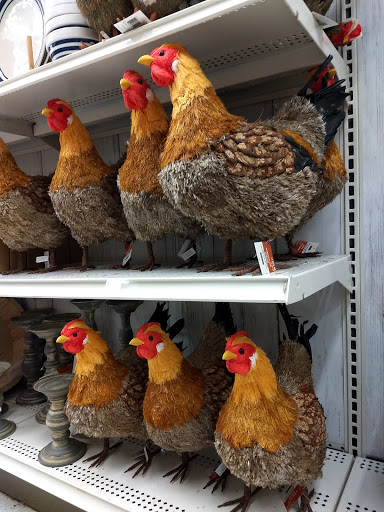 Craft Store «Michaels», reviews and photos, 11425 S Twenty Mile Rd, Parker, CO 80134, USA