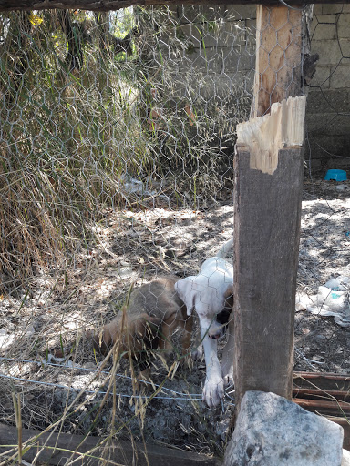 Çamlı Hemşin Ekmek Fırını