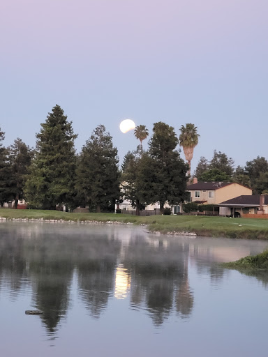 Golf Club «Foxtail Golf Club», reviews and photos, 100 Golf Course Dr, Rohnert Park, CA 94928, USA
