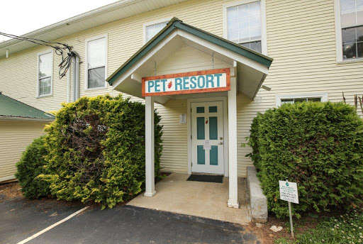 Nottely Oaks Animal Hospital image