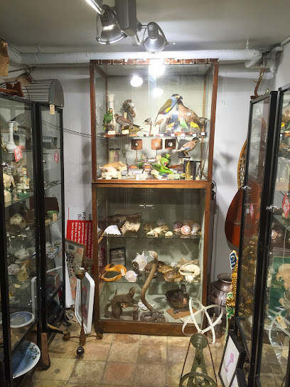 Zoll Antiques