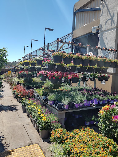 Home Improvement Store «The Home Depot», reviews and photos, 111 Shoreline Pkwy, San Rafael, CA 94901, USA