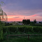 Photo n°2 de l'avis de Ilaria.i fait le 06/10/2020 à 15:55 sur le  Monvillone à Cereseto