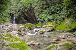 Pico Bonito National Park image