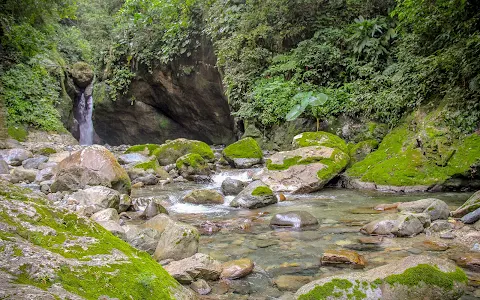 Pico Bonito National Park image