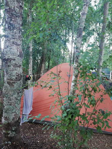 Opiniones de Camping San Jose en Villarrica - Camping