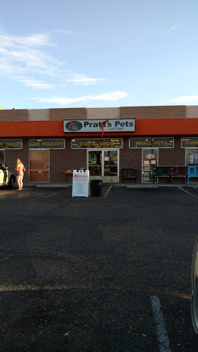 Cage shops in Phoenix